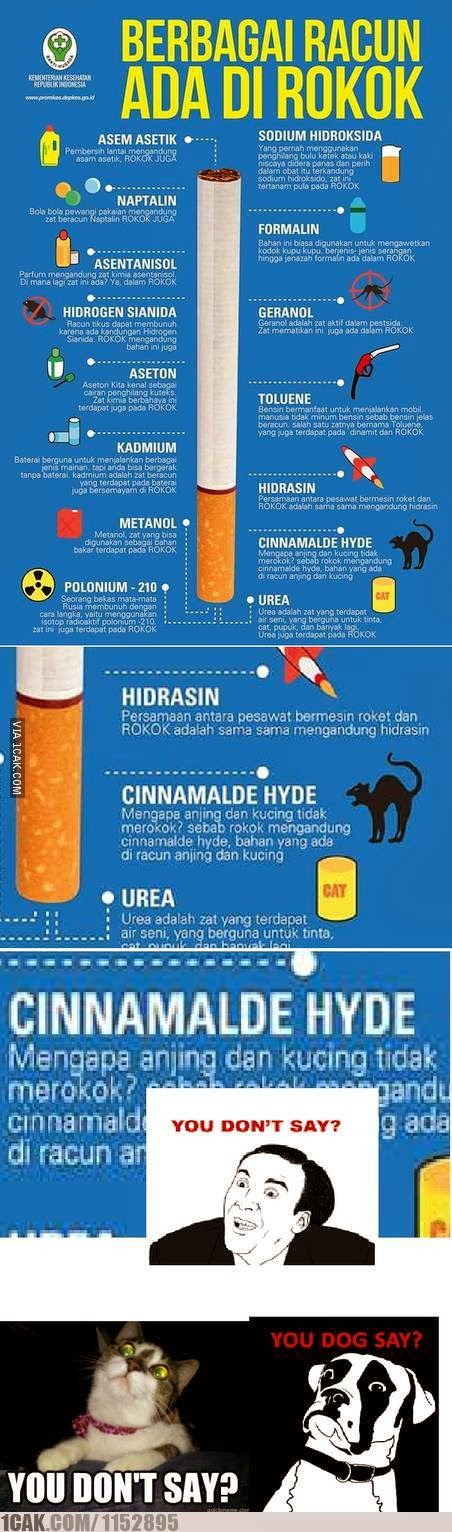 Contoh Teks Anekdot Kesehatan "Merokok Membunuhmu"  My 