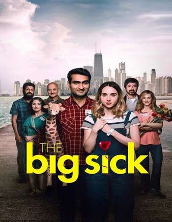 The Big Sick 2017 Full English Movie BRRip Download