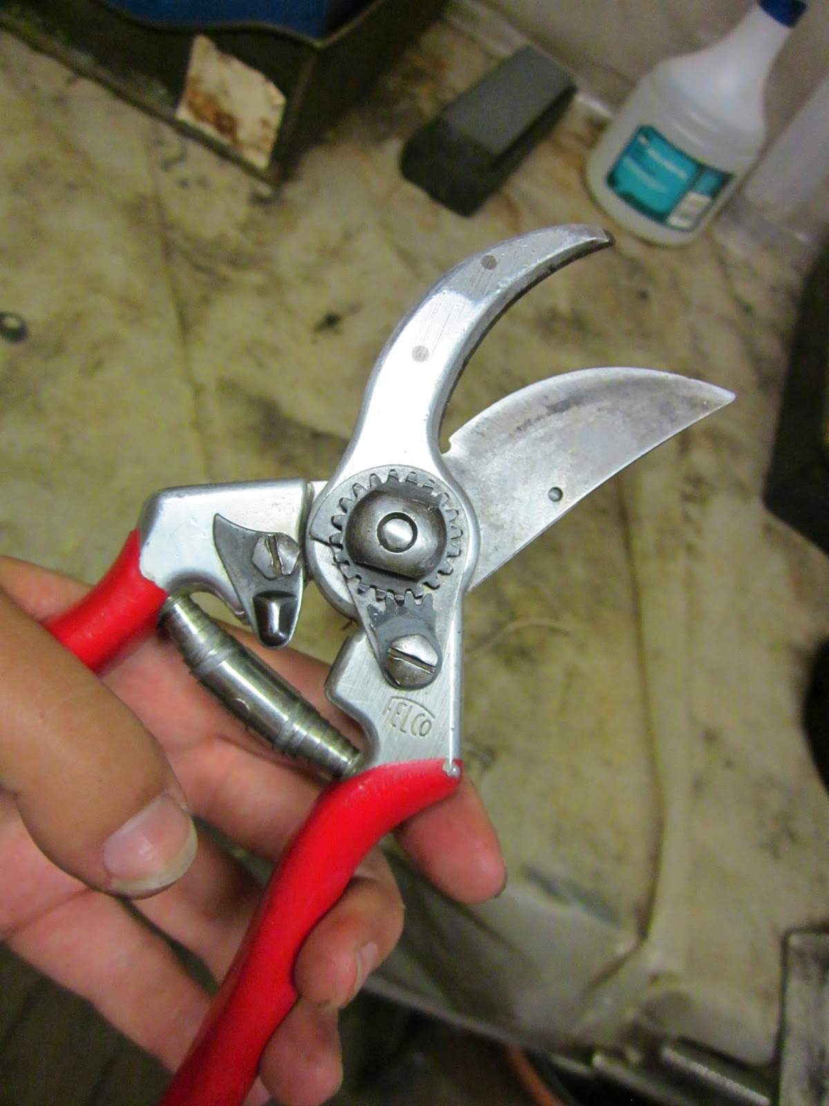 The Thrifty Gardener Hand Pruner Maintenance 101