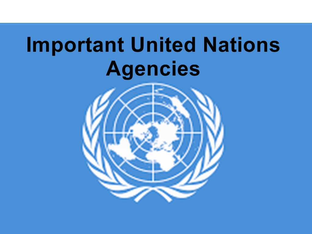 Important United Nations Agencies