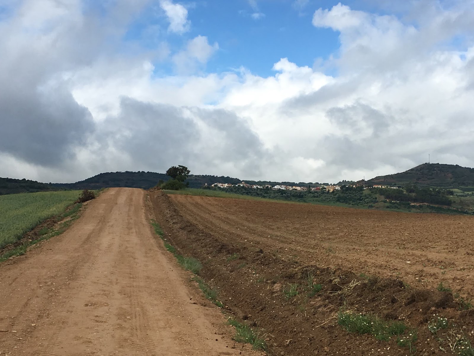 Foto de Carrera Balcón de la Alcarria en Castejón, Cuenca