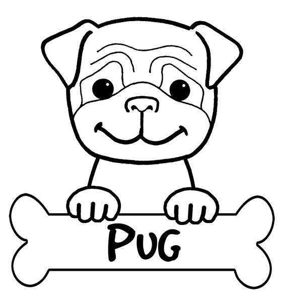 Gambar Anjing Lucu Sketsa