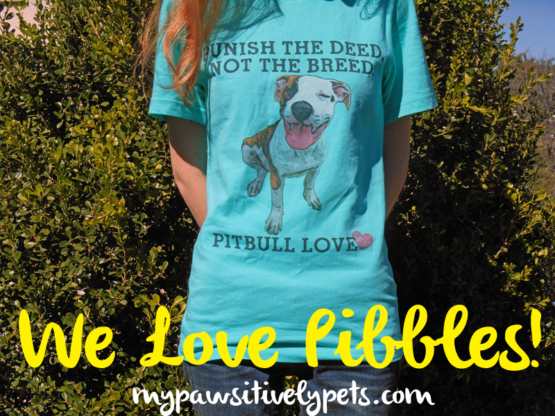 National Pit Bull Awareness Month – The Gentle Pit