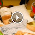 His Wife Was Dying, Then The Janitor Told Him Three Words That Changes Everything