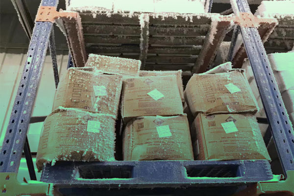 pallet plastik ruang pendingin