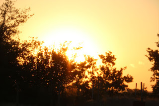 A glorious golden sunset A glorious golden sunset