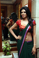 Sherlyn, Chopra, is, the, first, Indian, woman, on, adult, Playboy, magazine
