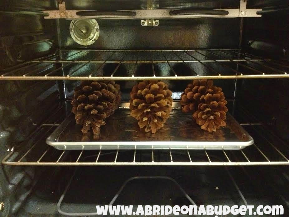 Believe it or not, you can't just take pine cones from the ground and use them in crafts. You have to prepare them first. Find out how from www.abrideonabudget.com.