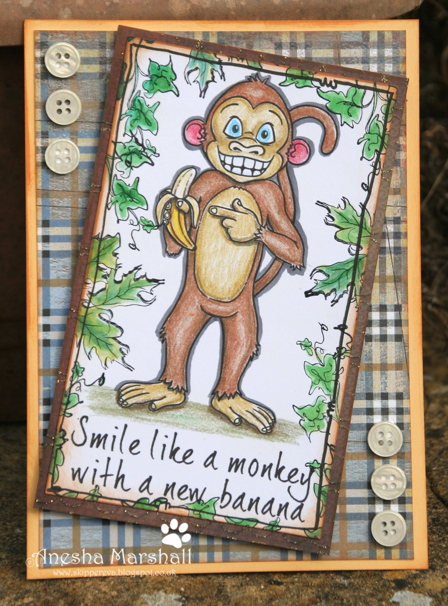 monkey madness monkey madness
