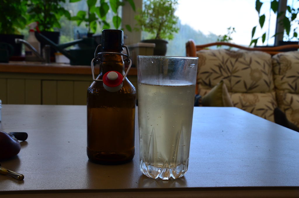 Living the Reasonably Good Life Making herb beers