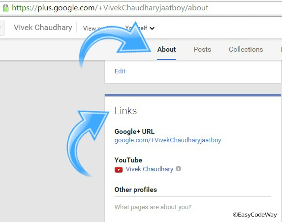Google Plus Custom Url For Your Profile