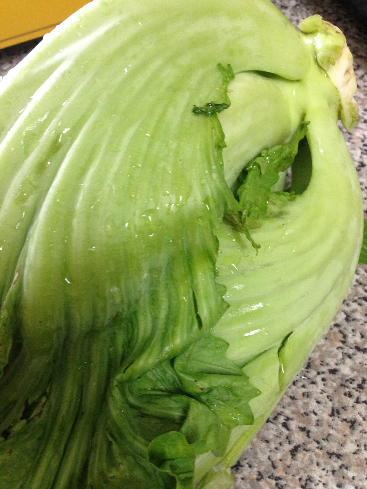 MYHUMBLEKITCHEN SALTED MUSTARD GREEN