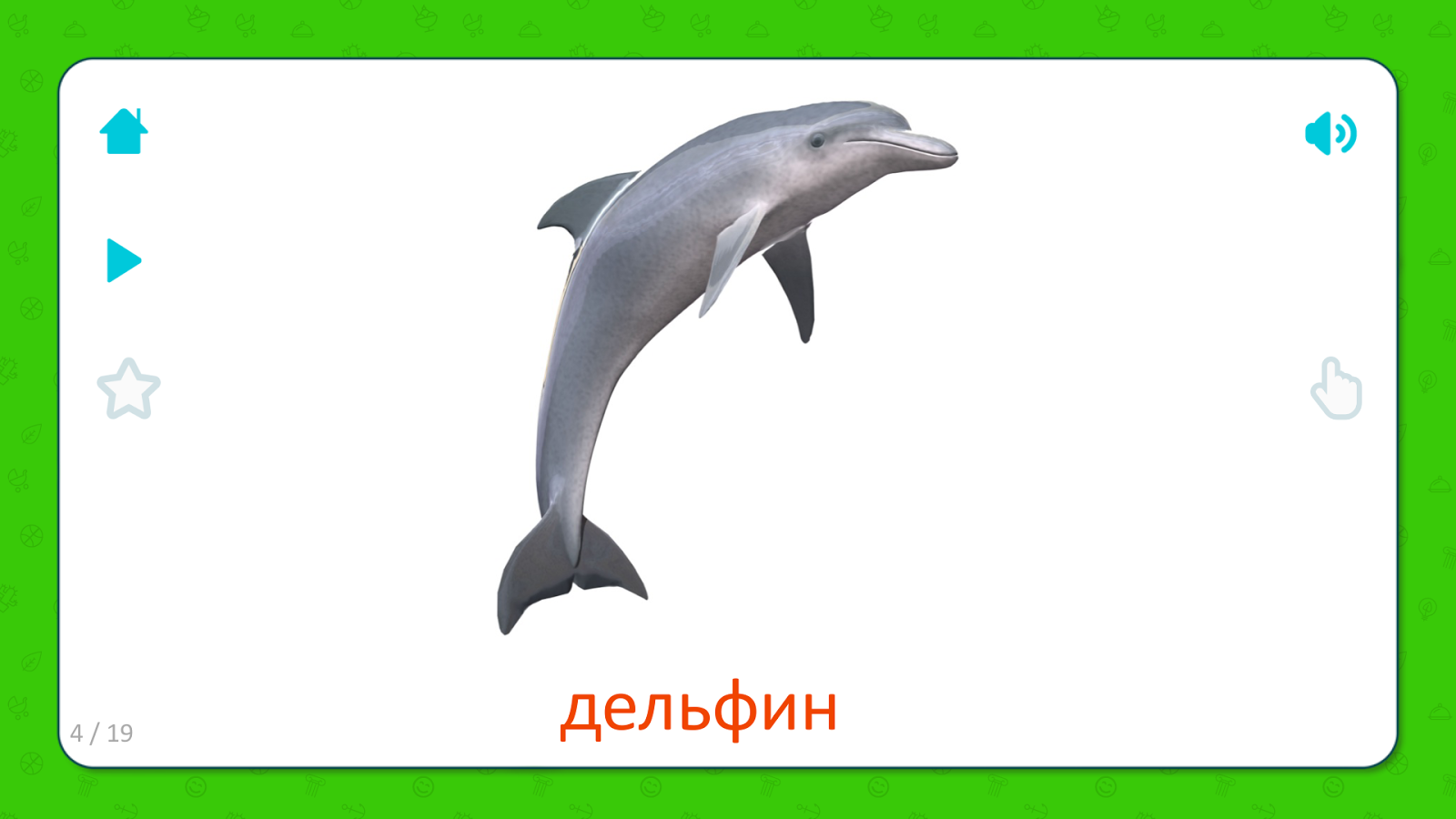 Английский про дельфинов. Дельфин карточки Домана. Дельфин карточка для детей. Морские животные для детей Дельфин. Морские животные карточки для детей.