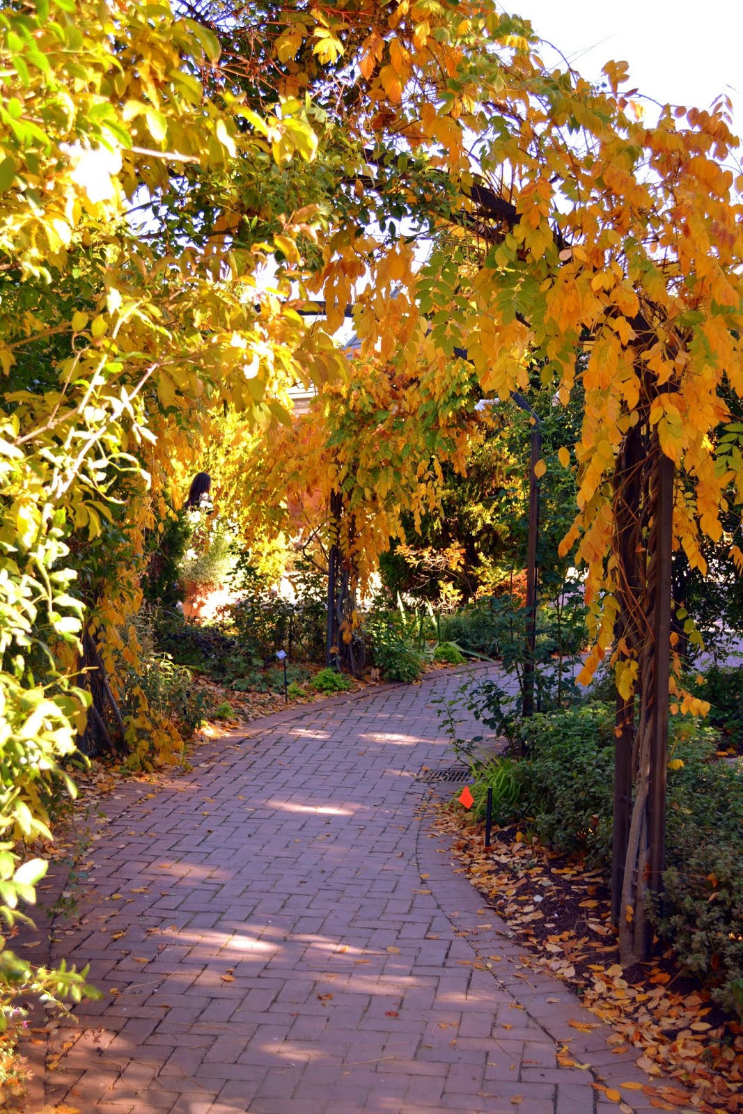 Mille Fiori Favoriti The Denver Botanic Garden in Autumn
