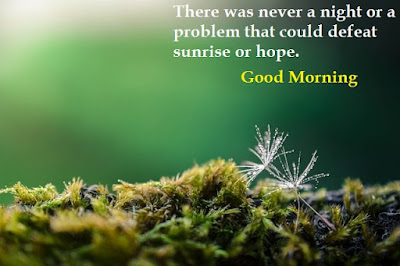 Best Insta Quotes Best Insta Quotes
