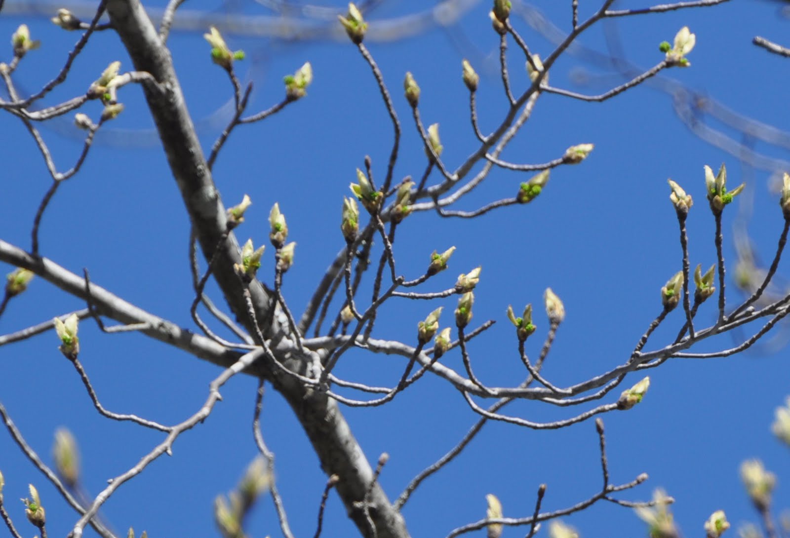 Ten For The Road April 2011