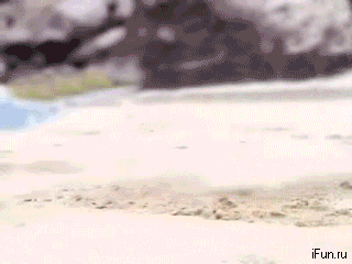 Αντανάκλαση στην άμμο