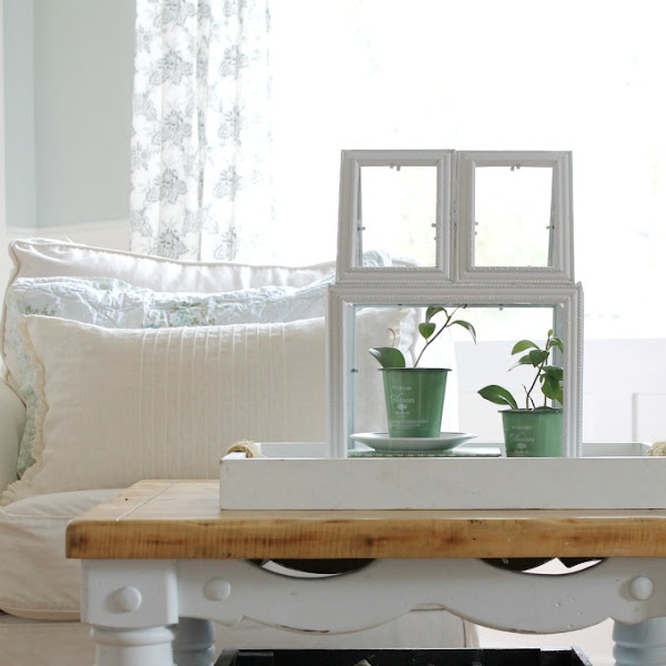 DIY Greenhouse Terrarium using Picture Frames