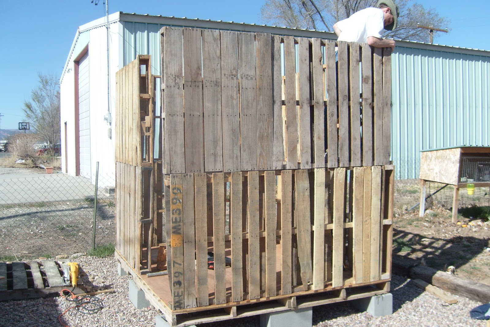 Picture of Katrina's Kitchen: Coop Construction