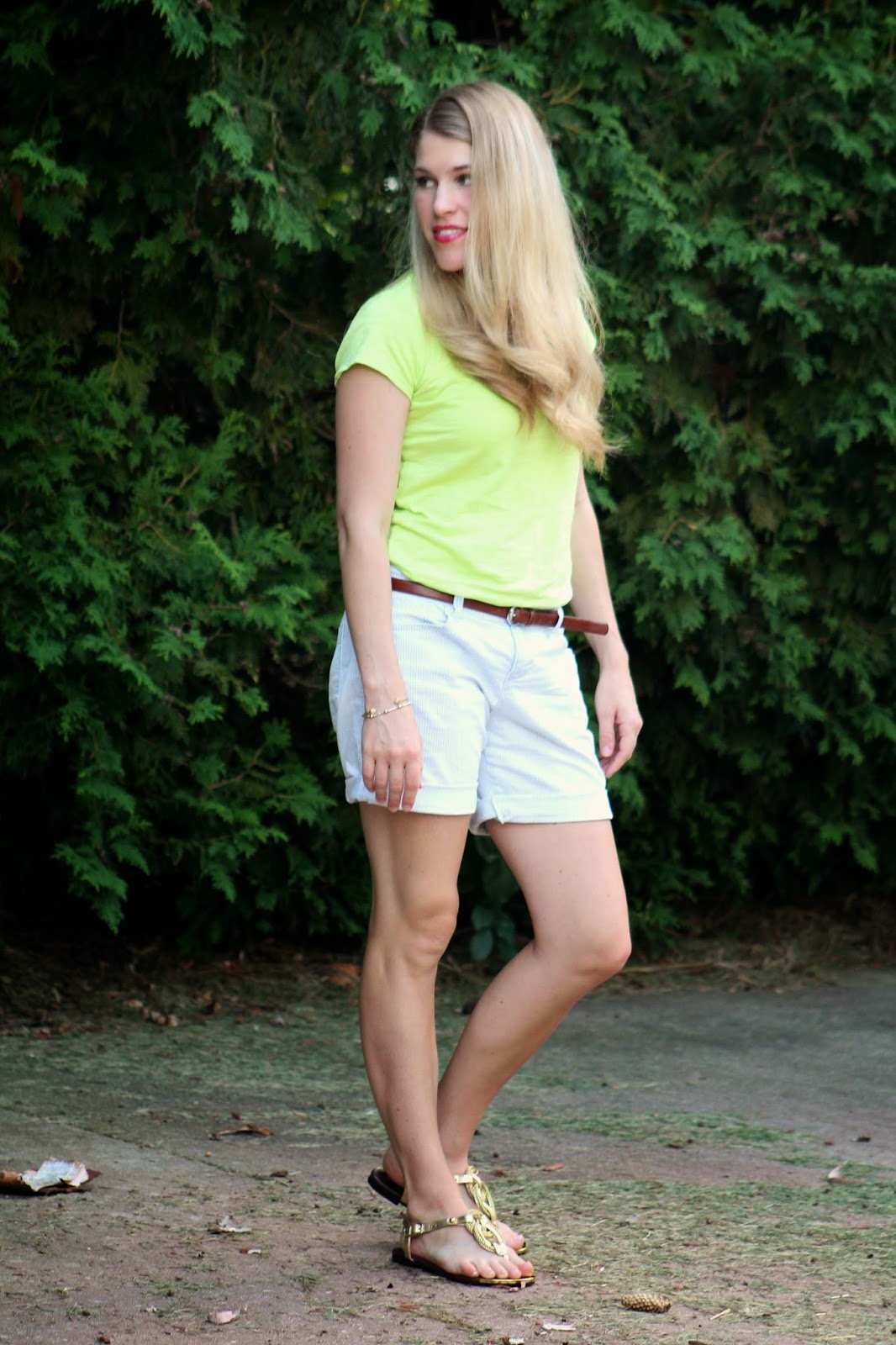 Ceiling Fans and Windows