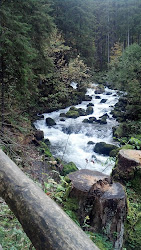 Gollinger Falls