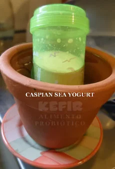 Iogurte Caspio protegido do calor, refresque dentro de potes de barro com água fresquinha e garanta uma fermentação do iogurte.