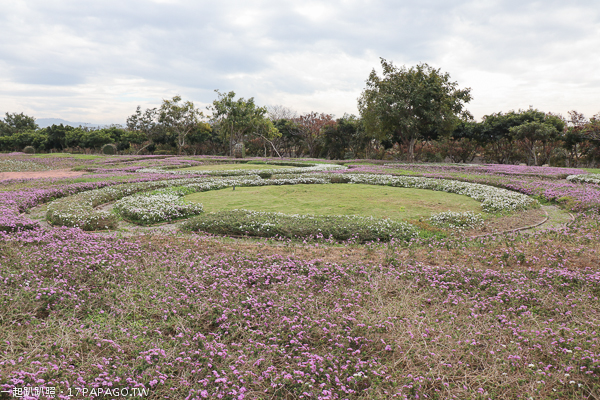台中后里景點|后里花田綠廊|環保公園|1.2公頃繽紛花海|棒棒糖花海 台中后里景點|后里花田綠廊|環保公園|1.2公頃繽紛花海|棒棒糖花海