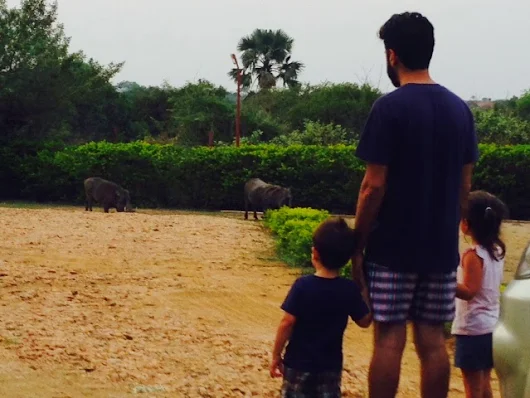 Mums Who Move: Three Under Five In Kinshasa