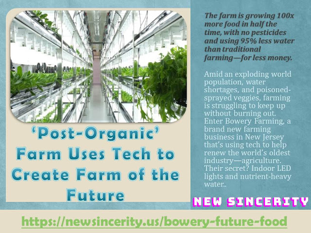 ‘Post-Organic’ Farm Uses Tech to Create Farm of the Future - New Sincerity