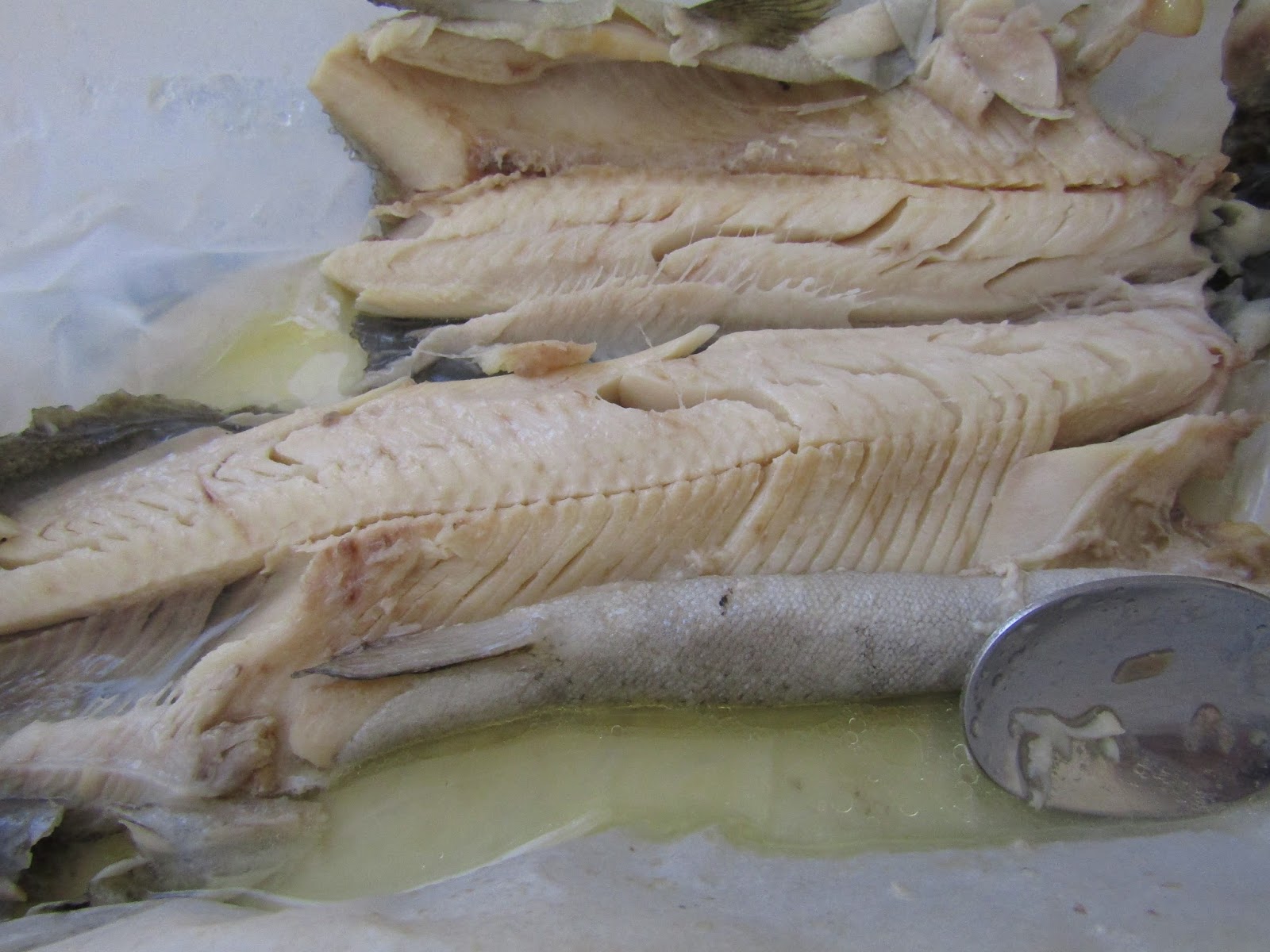 Maple Hill 101 Paper Trout