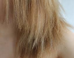 The Five Degrees Of Hair Damage