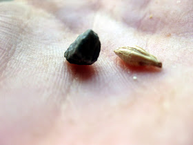 A grain sized pebble from a bag of Valley Malt