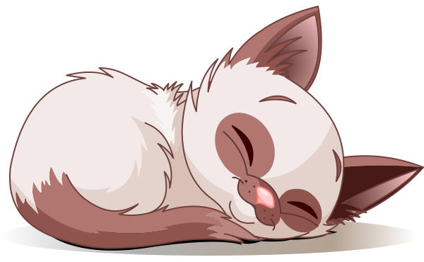 Cat Nap