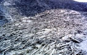 Clancy Tucker's Blog: 24 April 2015 - Mount St. HELENS