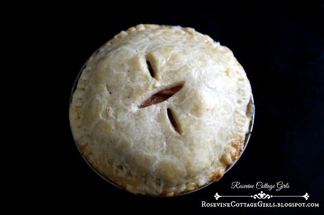 Photo of an apple hand pies with golden flakey crust and sweet juicy apples by rosevinecottagegirls.com