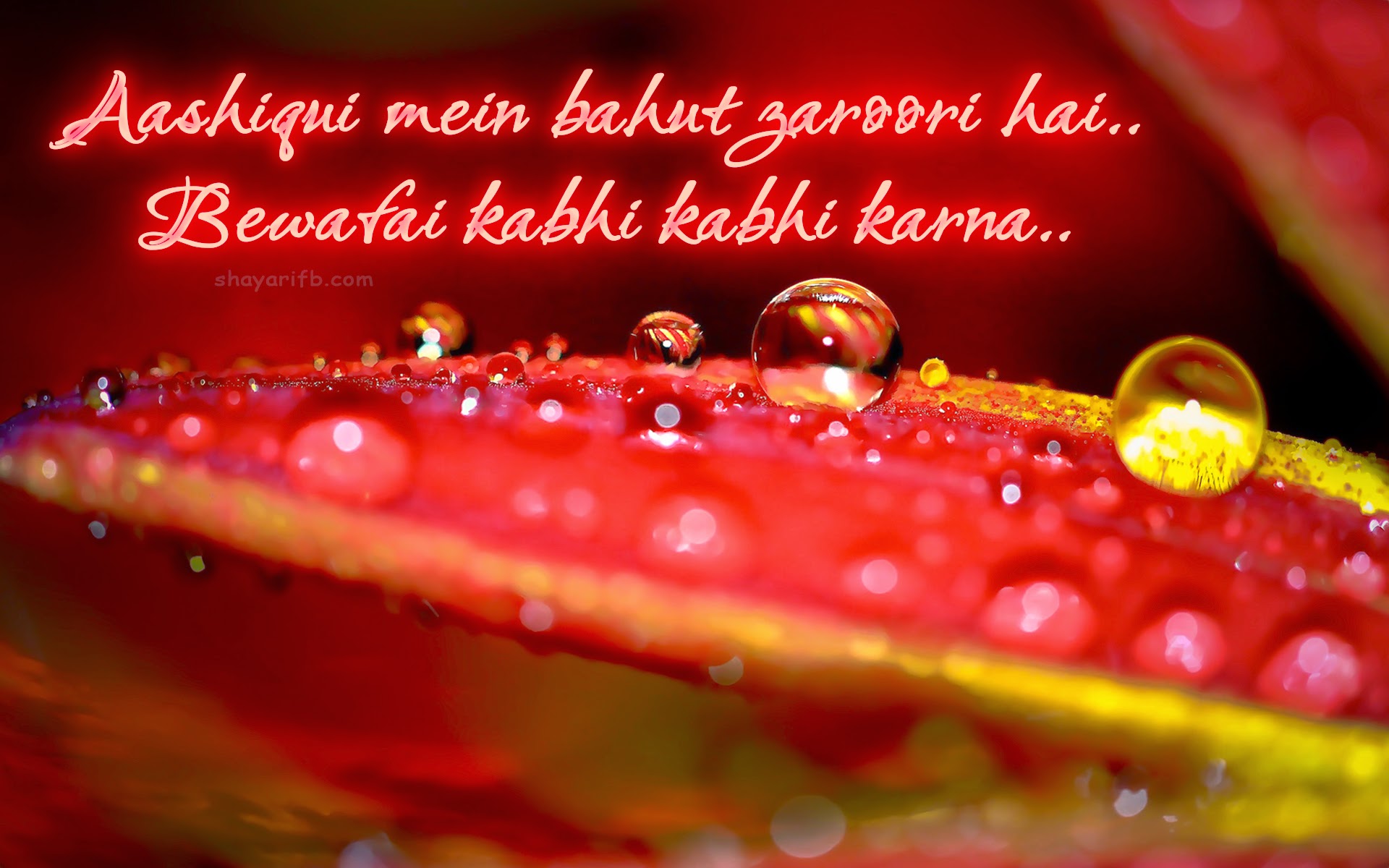 Love shayari Best shayari HIndi Aashiqui wallpaper HD