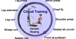 House of Fitness: Circuit