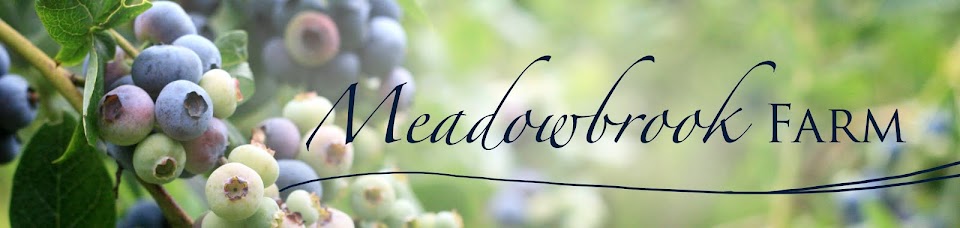 Meadowbrook Farmily