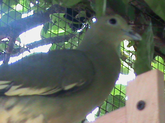 Ask Help Mod Tlg Delete Tq Page 11 Carigold Online Biz Hotspots