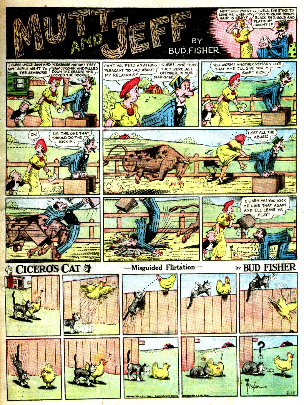 Read online All-American Comics (1939) comic -  Issue #6 - 11