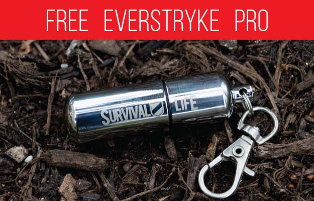 Get the Everstryke Pro FREE!