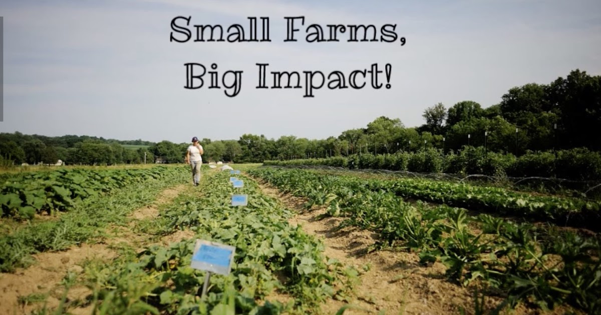 PA Environment Digest Blog Small Farms, Big Impact Grant Applications