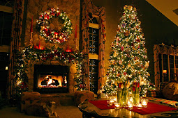 Christmas, Tree Shop, Songs, Countdown, Decorations, Cards, Lights, Ornaments, Stockings, Cactus