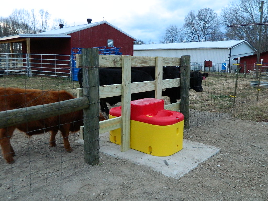 Sugar Pea Farm Dig Dug