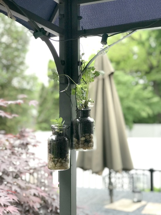 How to Make Hanging Terrarium Planters