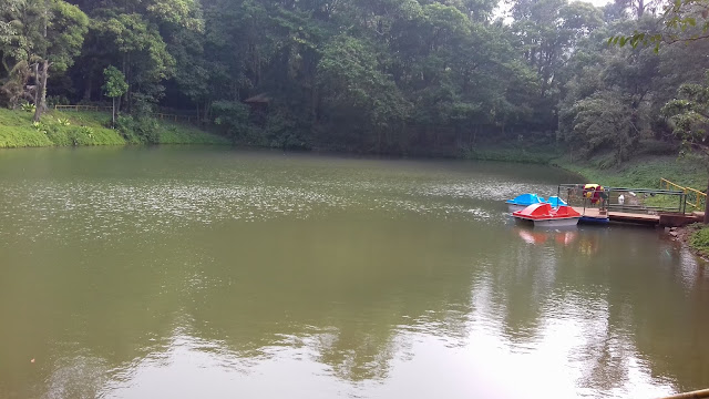 Pedal boating in lake