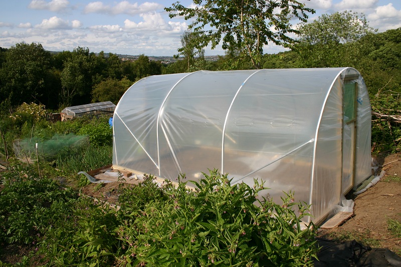 A Plot Too Far?: The polytunnel... It lives!