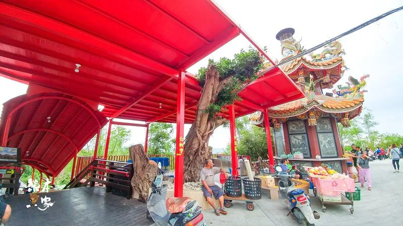 小琉球IG景點|竹林生態濕地公園|碧雲寺~有日本嵐山竹林的fu