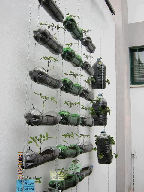 30 Hanging and wall garden ideas for your decor - Diy Fun World