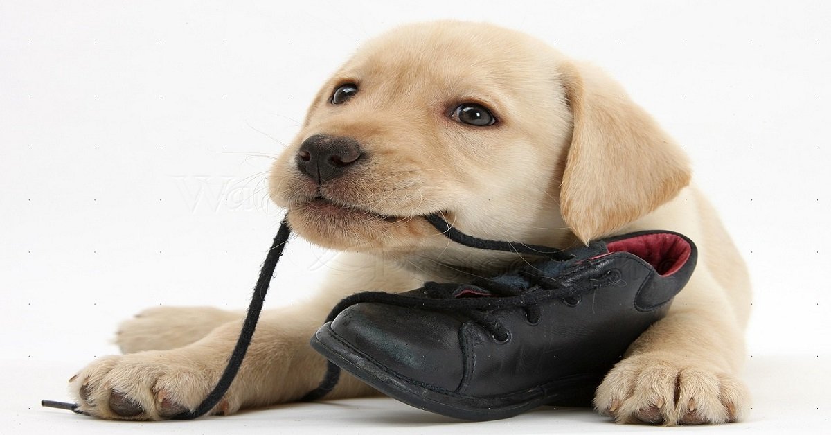 ...Ye olde wishing well Tongue Twisters